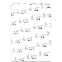 Бумага XEROX A4 COLOTECH + SILK (003R90370)