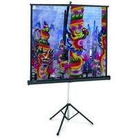 Проекционный экран Professional 213x213cm Projecta (10430110)