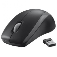 Мышка Trust Carve Wireless Mouse (19932)