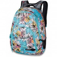 Рюкзак Dakine Eve 28L Rogue 8210-015 (610934829112)