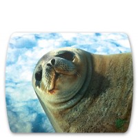 Коврик Sven UB