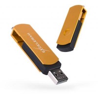USB флеш накопитель eXceleram 16GB P2 Series Gold/Black USB 2.0 (EXP2U2GOB16)