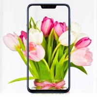 Мобильный телефон ASUS ZenFone Max (M2) ZB633KL 4/32 GB Midnight Black (ZB633KL-4A070EU)